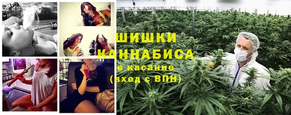 прущий лед Карпинск
