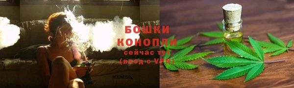 прущий лед Карпинск