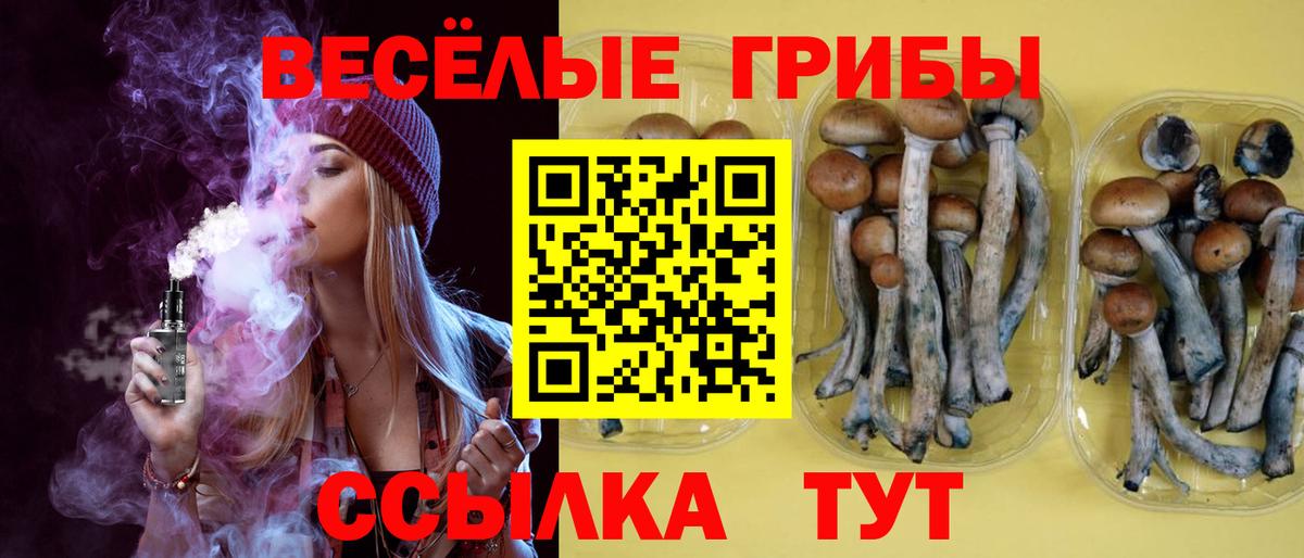 Пушкино  Псилоцибиновые грибы Magic Shrooms  Псилоцибиновые грибы Cubensis  Вход с VPN 