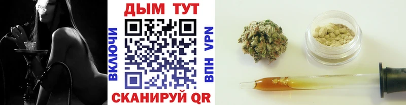 где купить наркотик  Пушкино  Конопля марихуана 