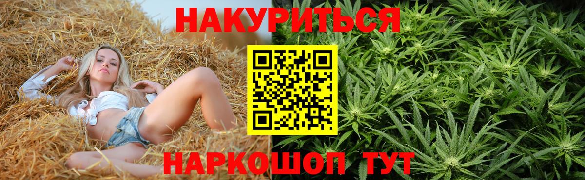 Конопля Bruce Banner Пушкино